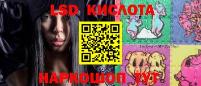 шишки Обь