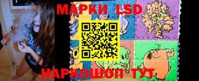 шишки Обь