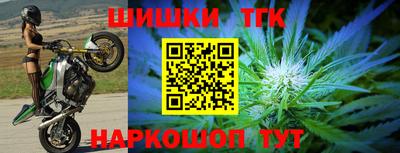 шишки Обь