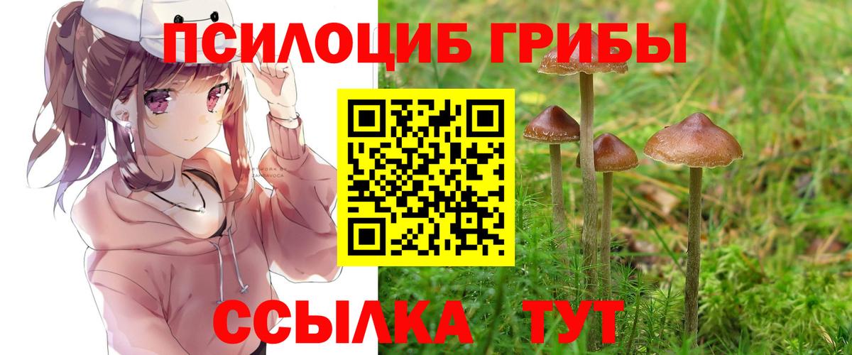 Галлюциногенные грибы Psilocybe  Вход с VPN  Галлюциногенные грибы Psilocybine cubensis  Троицк 