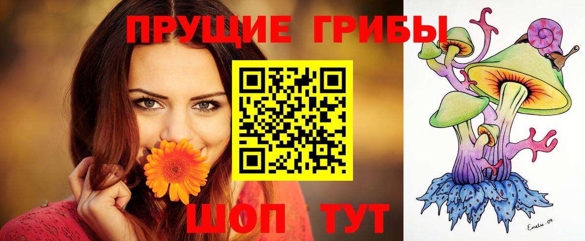Псилоцибиновые грибы Cubensis Троицк